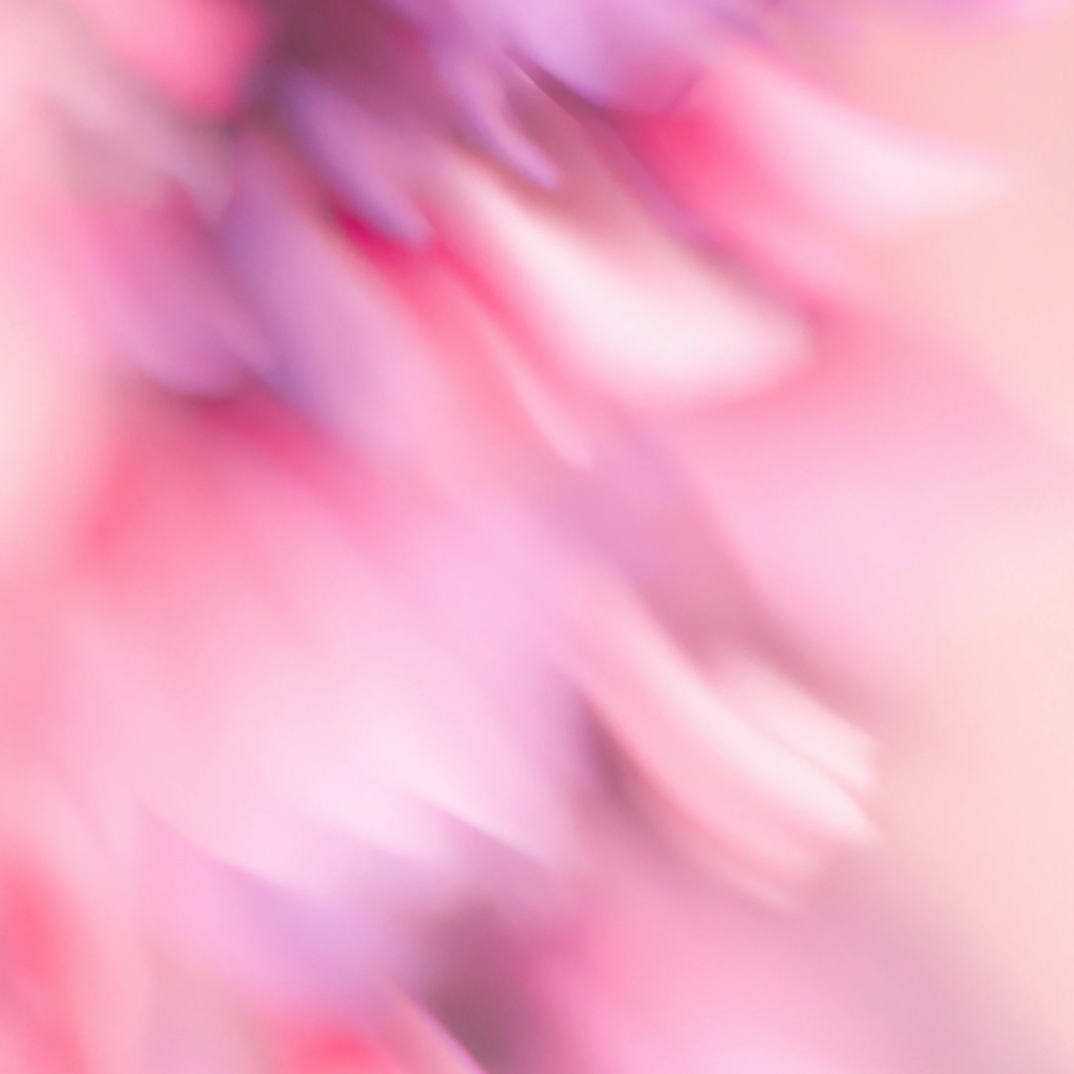 Image 4: Frame